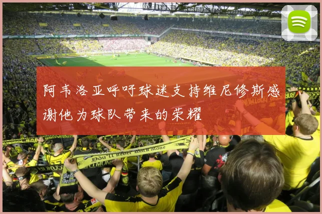 阿韦洛亚呼吁球迷支持维尼修斯感谢他为球队带来的荣耀