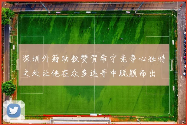 深圳外籍助教赞贺希宁竞争心独特之处让他在众多选手中脱颖而出