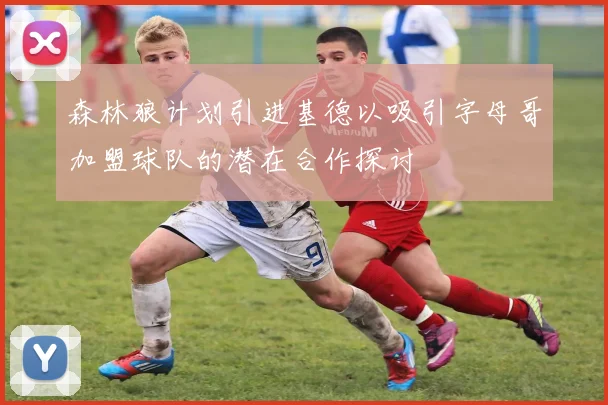 森林狼计划引进基德以吸引字母哥加盟球队的潜在合作探讨